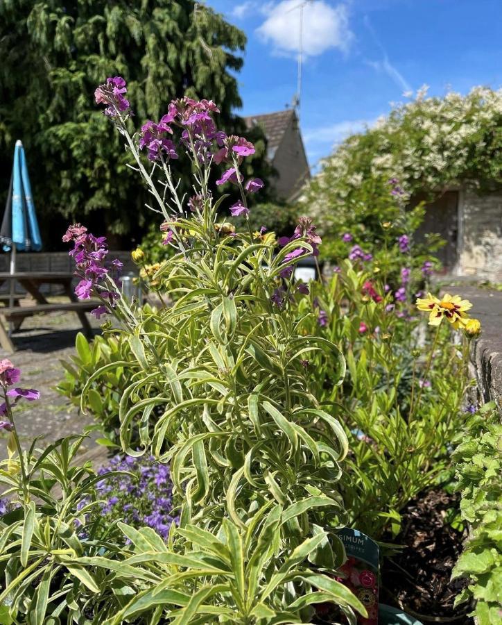 ホテル The Bell At Old Sodbury チッピング・ソドベリー エクステリア 写真